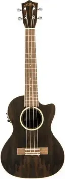Lanikai ZR-CET