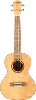 Lanikai FM-T
