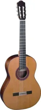 Almansa Student 403
