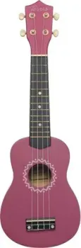 Terris JUS-10 VIO