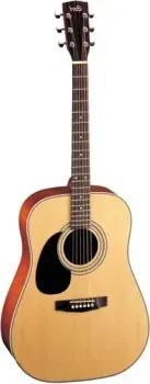 Cort AD880 NS LH
