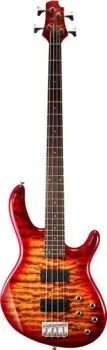 Cort Action DLX Plus CRS
