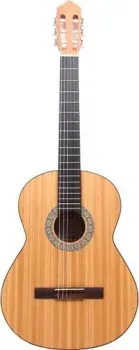 APC Instruments GC-C-OP