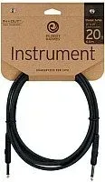 Planet Waves PW-CGT-20 (6 м)