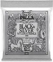 Ernie Ball 2406 Palla Nylon Clear Silver