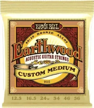 Ernie Ball 2005