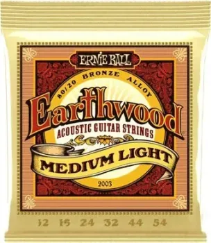 Ernie Ball 2003