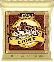 Ernie Ball 2004 Earthwind Light