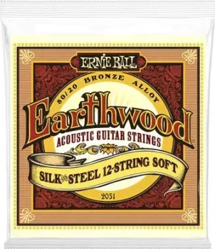 Ernie Ball 2051 9-46