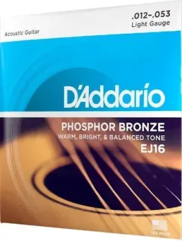 D'Addario EJ16
