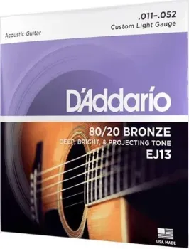 D'Addario EJ13