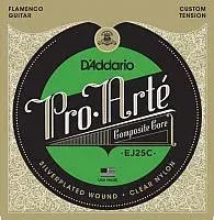 D'Addario EJ-25C