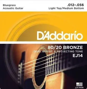 D'Addario EJ14
