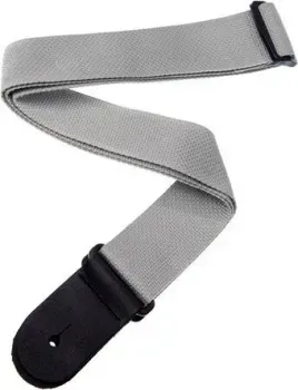 D'Addario Planet Waves PWS105 Silver