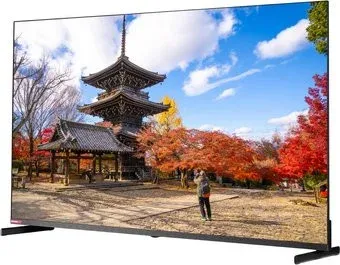 Shivaki S55NUCH900