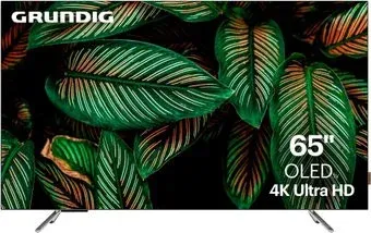 Grundig 65 OLED GH 9500 65"