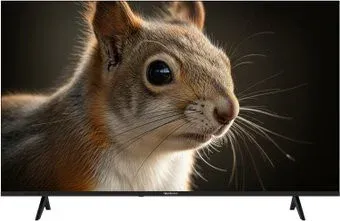 Topdevice 43" SALUTE TV TDWC43BF4260V
