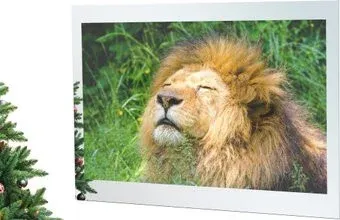 AVEL AVS755SM (Magic Mirror)