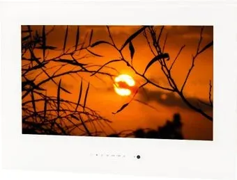 AVEL AVS245SM (белый)