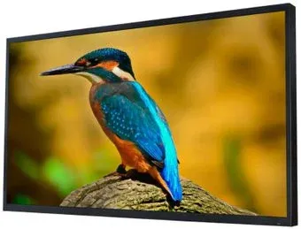 AVEL AVS550OT