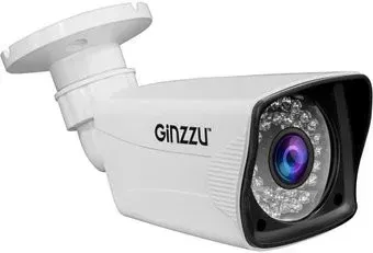 Ginzzu HAB-2036P