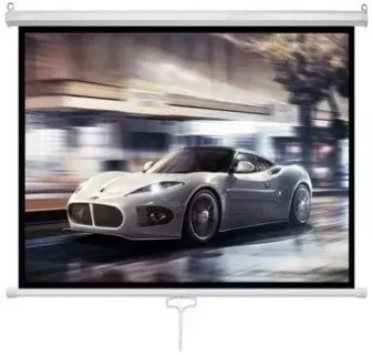 Future Vision Business 300 300x218 W300WMW