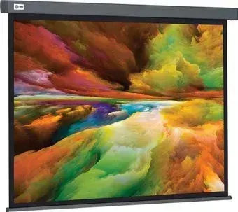 CACTUS Wallscreen 152x203 CS-PSW-152X203-SG