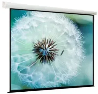 ViewScreen Breston 220х163 EBR-16909