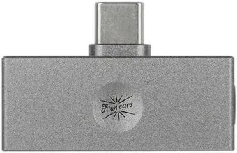 Kiwi Ears Allegro Mini (титановый)