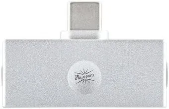 Kiwi Ears Allegro Mini (серебристый)