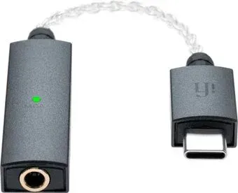 iFi audio Go Link