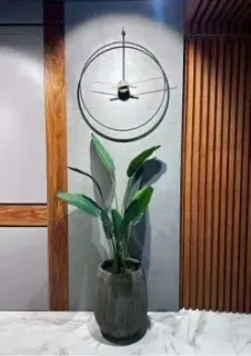 BALANCE HOME MOON 60 см (черный)