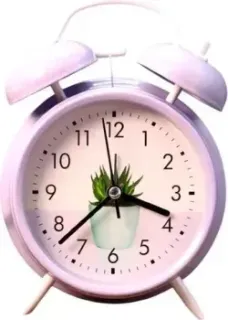 ILikeGift Cactus Time 860-3-04