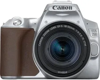 Canon EOS 250D Kit 18-55 IS STM (серебристый)