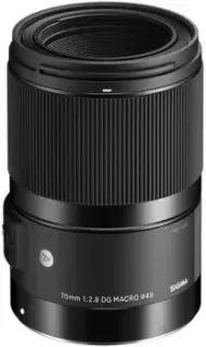 Sigma 70mm F2.8 AF DG MACRO Art для Sony E