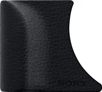 Sony AG-R2