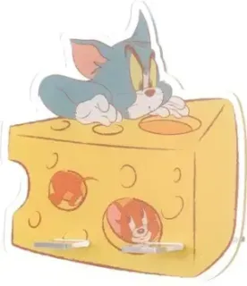 Miniso Tom &amp; Jerry 9428