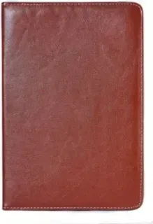 Bingo Tablet 10" (коричневый)