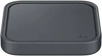 Samsung EP-P2400BBEGEU (без СЗУ)