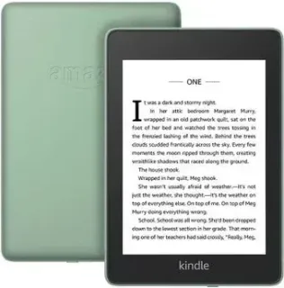 Amazon Kindle Paperwhite 2018 8GB (шалфей)