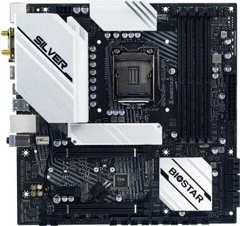 BIOSTAR B560M-SILVER Ver. 5.0