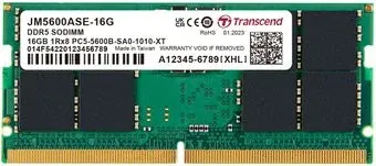 Transcend JetRam 16ГБ DDR5 SODIMM 5600МГц JM5600ASE-16G