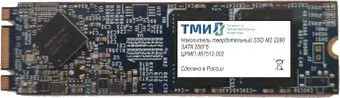 ТМИ ЦРМП.467512.002 256GB