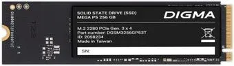 Digma Mega P5 256GB DGSM3256GP53T