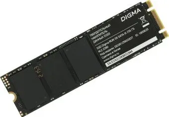 Digma Run S9 256GB DGSR1256GS93T