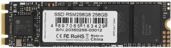 AMD Radeon R5 256GB R5M256G8