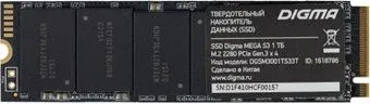 Digma Mega S3 1TB DGSM3001TS33T