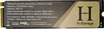 Horizont H-Storage 256GB HSA4300-256G