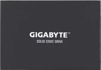 Gigabyte UD Pro 256GB GP-GSTFS30256GTTD
