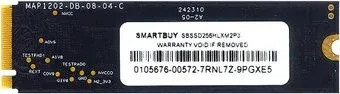 SmartBuy Helix 256GB SBSSD256HLXM2P3